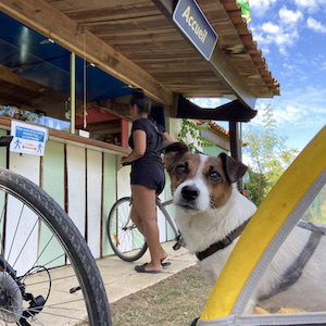 tente glamping au camping