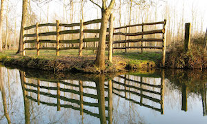 Marais poitevin