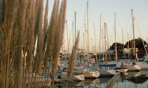 Oleron