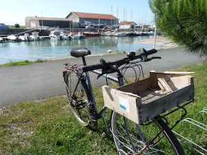 Île de ré