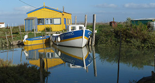 Un peu plus loin, l'île d'Oléron ...