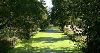 A l’Est Marais Poitevin (20 minutes)